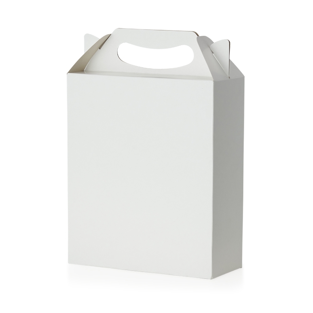 EMBALAGEM MALETA M SPX-14749-BCO NA COR BRANCO