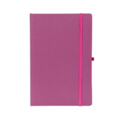 PLANNER CROMATO ANUAL SPX-15096-PNK NA COR ROSA